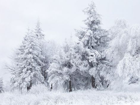 800px-snow_scene_at_shipka_pass_1.jpg